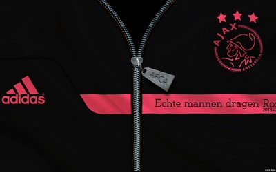 TVT体育焦点-于帕梅卡诺关键解围救主