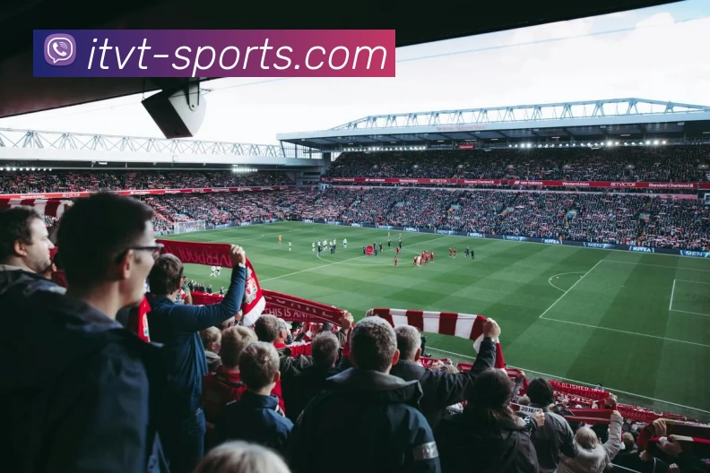 TVT体育平台APP 体育赛事宣传图